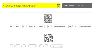 Принтер лазерный черно-белый Xerox B210DNI (арт. B210V_DNI) купить в  OfiTrade | Характеристики, фото, цена