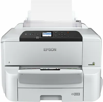 Принтер Epson SureColor SC-P20000 (C11CE20001A0) - купить в 