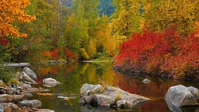 Осенние пейзажи на рабочий стол - 65 фото