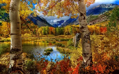 Осенний пейзаж на берегу реки - обои на рабочий стол