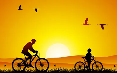 Велосипедисты и птицы - Красивые картинки обоев для рабочего стола