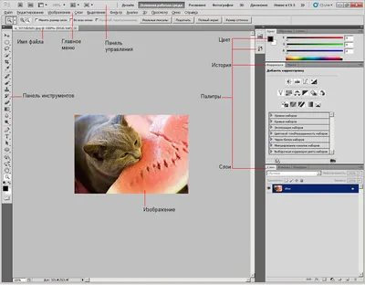 Обрезка изображений в Photoshop Elements