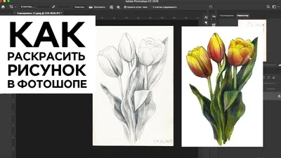 Купить рабочую станцию для работы с Photoshop 2022 ☑️ системные требования  ☑️ Обзор топ сборок