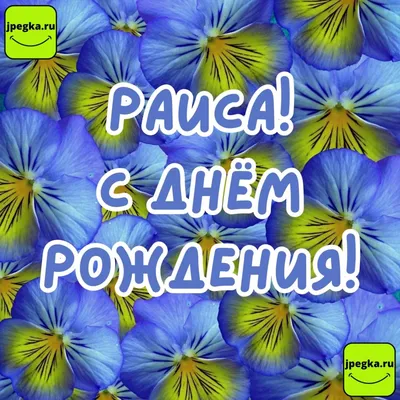 Раисы» – история создания, КВН, фото, состав, команда, участницы, песня  «Гараж», лучшие номера 2024 - 24СМИ