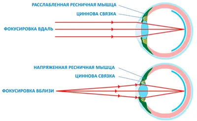 Стереокартинки для улучшения зрения: смотреть на весь экран легкие для  начинающих, сложные для профессионалов и движущиеся с ответами