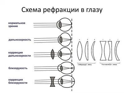 Стереокартинки. Альбом для тренировки зрения - купить с доставкой по Москве  и РФ по низкой цене | Официальный сайт издательства Робинс