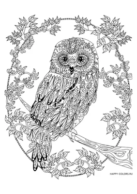 Раскраски «Птицы» - «Птица в саду» | Mandala coloring pages, Pattern  coloring pages, Coloring book pages