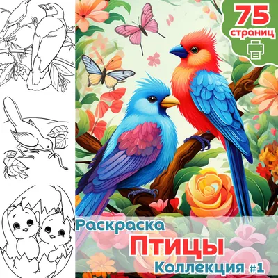 Купить комплект Подарочный комплект со скидкой: 2 раскраски («Райские птицы .Раскраска-антистресс для творчества и вдохновения.» и «Дикие животные.  Раскраска-антистресс для творчества и вдохновения.») + цветные карандаши  "Дикие Звери" | 
