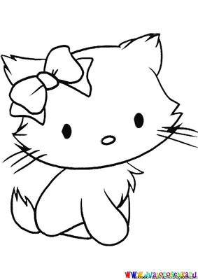 Картинка котика раскраска - 60 фото