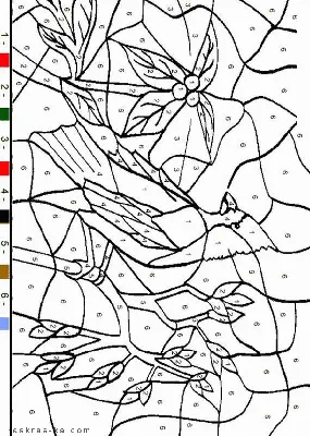 Раскраски красками по номерам