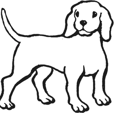 Раскраска Вельш корги | Раскраски собак, рисунки собак, картинки собак