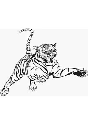 Тигр раскраски - 74 фото