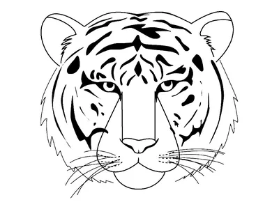 Набор для раскрашивания Свирепый тигр