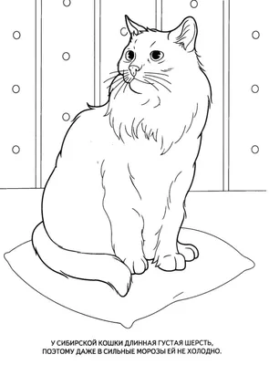 Раскраски животные антистресс скачать и распечатать | Dog coloring page,  Mandala coloring pages, Animal coloring pages