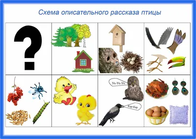 Два плюс два: Составляем рассказ по картинкам "Друзья птиц"