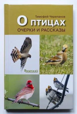 Иллюстрация 8 из 17 для Рассказы про птиц и зверей - Вера Чаплина |  Лабиринт - книги. Источник: