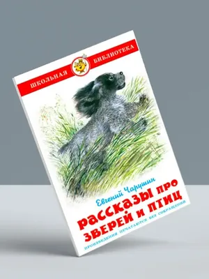 Птицы. Составление рассказов, описание, страница 8. Воспитателям детских  садов, школьным учителям и педагогам - Маам.ру