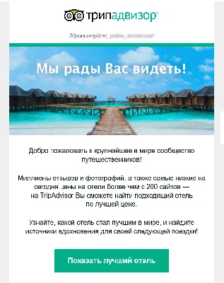 Сервис для email-рассылок – запуск массовой рассылки электронных писем с  помощью Sendsay