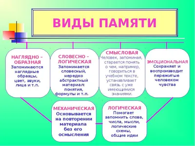 Развитие зрительной памяти у детей