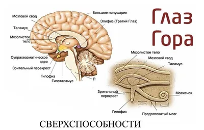 Стереокартинки для тренировки глаз