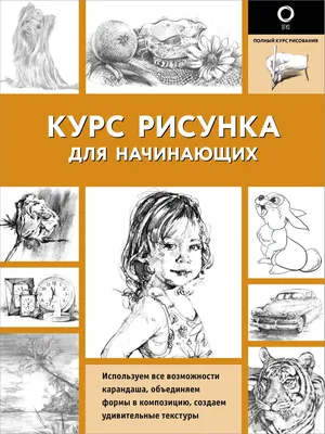 Курсы рисования карандашом для начинающих в Москве - обучение для взрослых  и детей