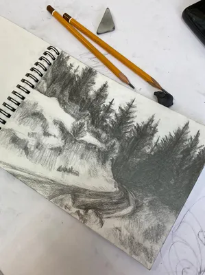 Курс рисования карандашом для начинающих