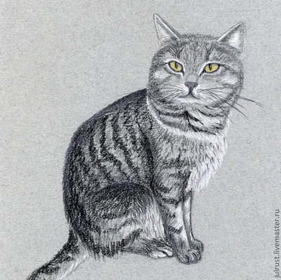 Постер (плакат) Кот рисунок карандашом , арт.: 38348