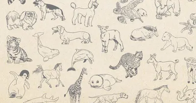 Бездомные животные рисунок карандашом…» — создано в Шедевруме
