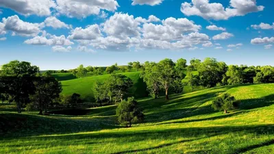 Зображення літо на робочий стіл