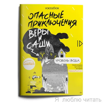 Книга VoiceBook Опасные приключения Веры и Саши. Уровень: Лёд. купить по  цене 211 ₽ в интернет-магазине Детский мир