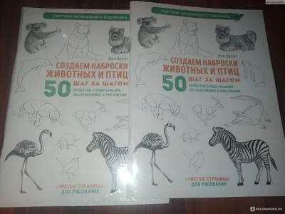 Скетчбук Контэнт Создаем наброски животных и птиц. - «Скетчбук начинающего  художника. » | отзывы