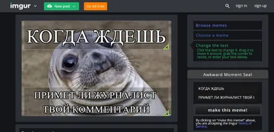 Как создавать мемы и где вдохновляться. 10+ сервисов в помощь | Pressfeed.  Журнал