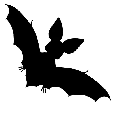 Летучие мыши  / летучие мыши рисунок #yandeximages | Летучие  мыши, Трафареты, Рисунок