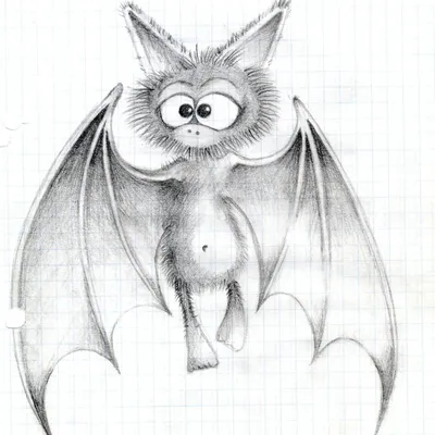 Рисунок летучая мышь для детей карандашом - 53 фото