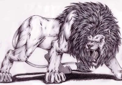 Картинки льва для срисовки (24 фото) - 
