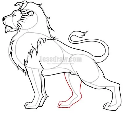 Рисунки львицы для срисовки (61 фото)