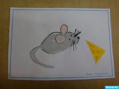 Как давно вы смотрели на мышей? | Пикабу