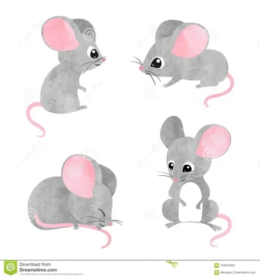Рисунки мишки для срисовки (61 фото)