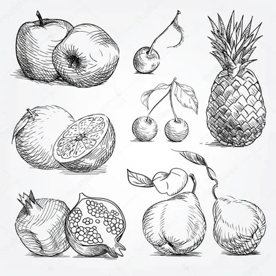 Идеи для срисовки фрукты осенние (90 фото) » идеи рисунков для срисовки и  картинки в стиле арт - АРТ.КАРТИНКОФ.КЛАБ