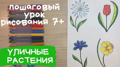 Растения картинки для срисовки маленькие