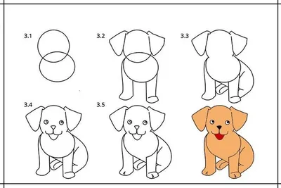 Как нарисовать собачку легко (54 фото) » Идеи поделок и аппликаций своими  руками - Папикпро.КОМ