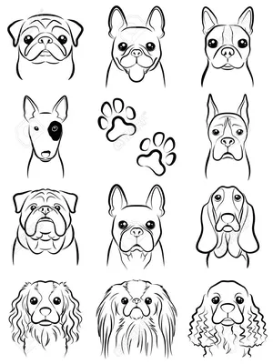 Рисунок собаки для срисовки - 30 фото