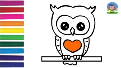 Как нарисовать СОВУ / Раскраска СОВА для детей / рисунки для срисовки / How  to Draw an Owl - YouTube