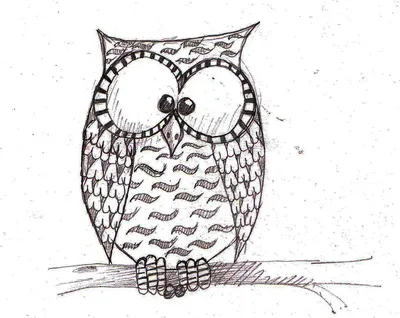 Как нарисовать сову. Лёгкий рисунок для срисовки. How to draw an Owl -  YouTube