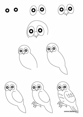 Рисунки животных совы (48 фото) » рисунки для срисовки на Газ-квас.ком