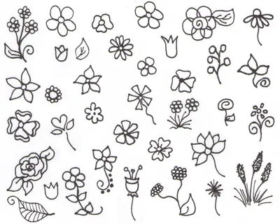 Цветы рисунки для срисовки - 54 фото