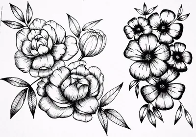 Идеи для срисовки цветок очень легкие (90 фото) » идеи рисунков для срисовки  и картинки в стиле арт - АРТ.КАРТИНКОФ.КЛАБ