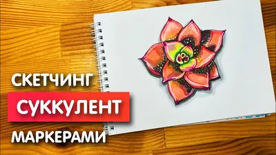 Красивые картинки узоры для срисовки - смотреть, скачать бесплатно