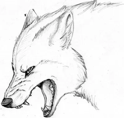 Рисунки для срисовки волк в наушниках - 43 фото