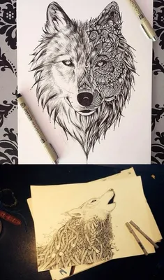100 интересных рисунков волка для срисовки »  — Сайт Хорошего  Настроения
